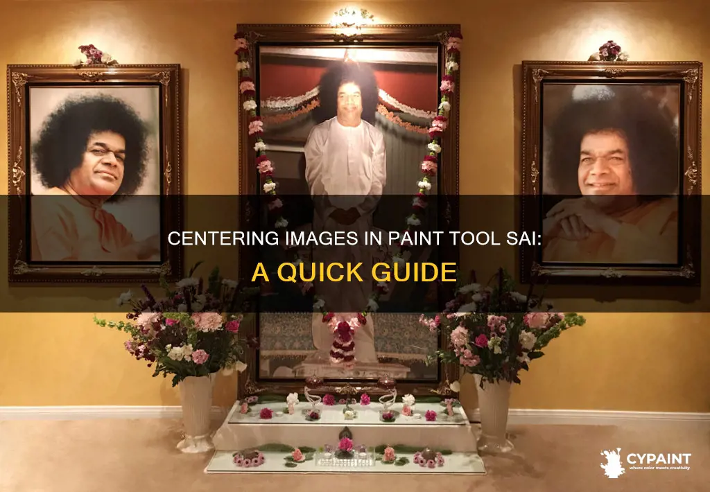 how to center an image in paint tool sai