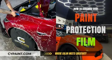 Ceramic Coating Paint Protection Film: Ultimate Guide for Long-Lasting Shine