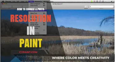 Quick Guide: Changing Photo Resolution in Paint Easily and Effectively