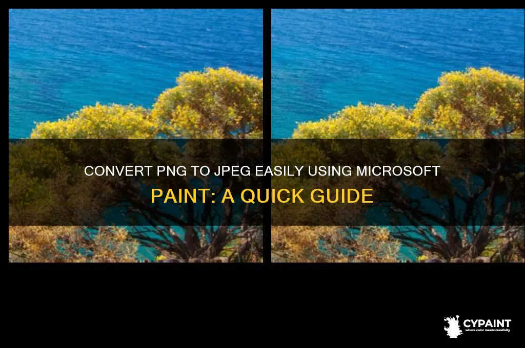 how to change a png to a jpeg on paint