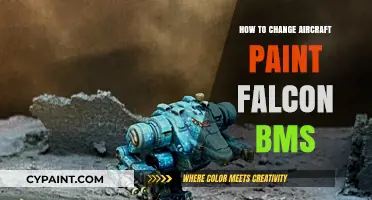 Customizing Your Falcon BMS Aircraft: A Step-by-Step Paint Change Guide