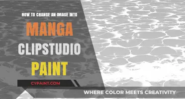Transforming Images into Manga Art with Clip Studio Paint