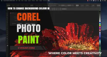 Easy Steps to Change Background Color in Corel Photo-Paint