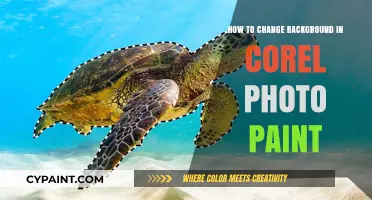 Mastering Corel Photo-Paint: Easy Steps to Change Backgrounds Like a Pro