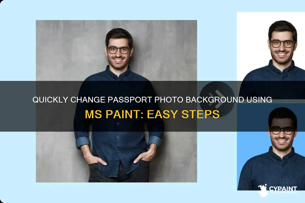 how to change background of passport size photo in paint