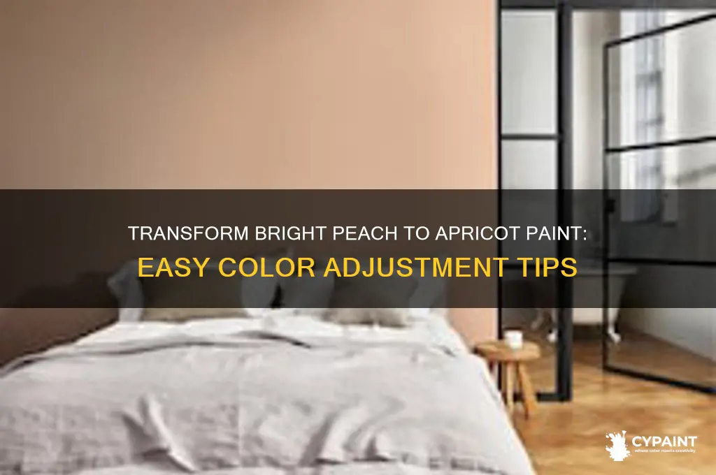 how to change bright peach to apricot paint
