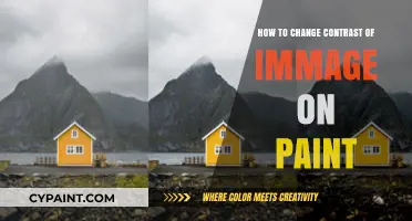 Enhance Your Photos: Simple Steps to Adjust Image Contrast in Paint