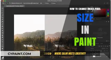 Quick Guide: Resizing Image Pixels in Paint for Beginners
