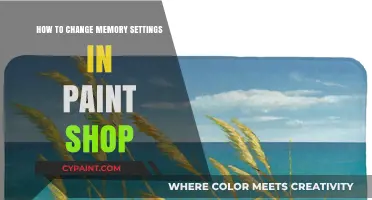 Optimize Paint Shop Performance: Adjusting Memory Settings for Better Results