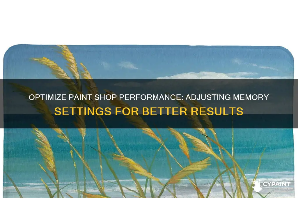 how to change memory settings in paint shop