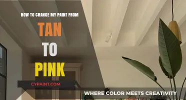 Transforming Tan to Pink: A Guide to Paint Makeover