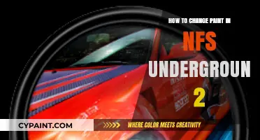 Customize Your Ride: Changing Paint in NFS Underground 2 Guide