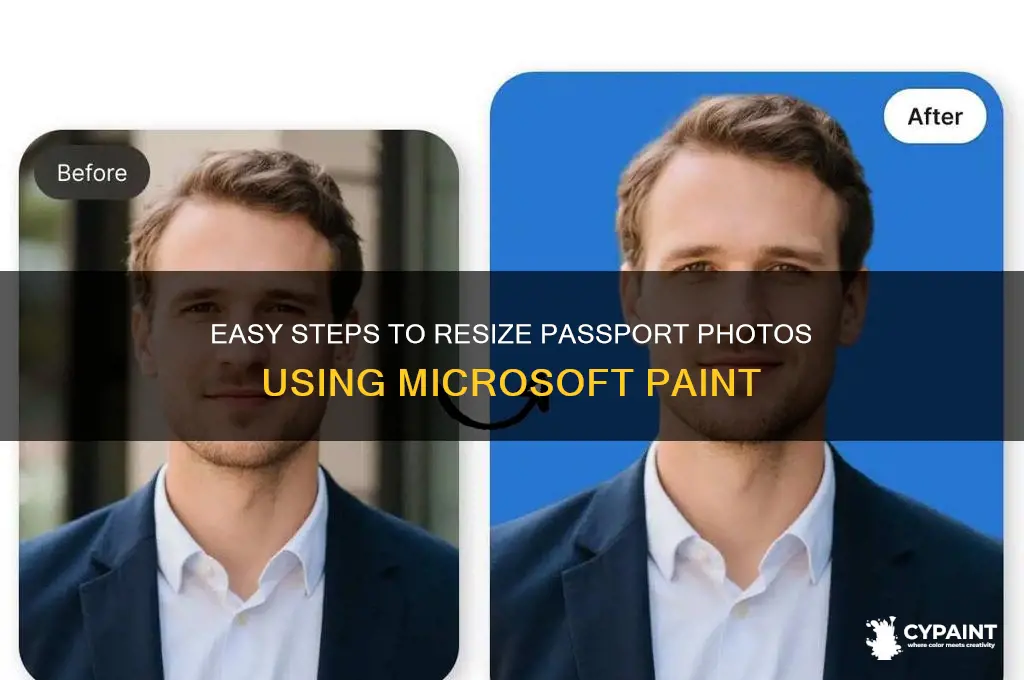 how to change passport size photo in paint