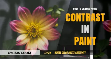 Enhance Your Images: A Simple Guide to Adjusting Photo Contrast in Paint