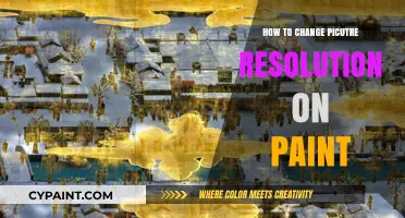 Quick Guide: Changing Picture Resolution in Paint Easily