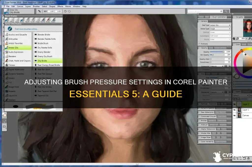 how to change pressure settings in corel painter essentials 5