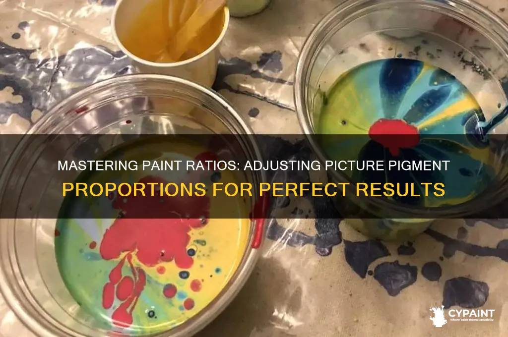 how to change ration of pitures paint