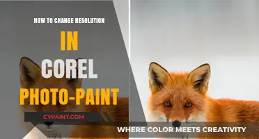 Mastering Corel Photo-Paint: Easy Steps to Adjust Image Resolution