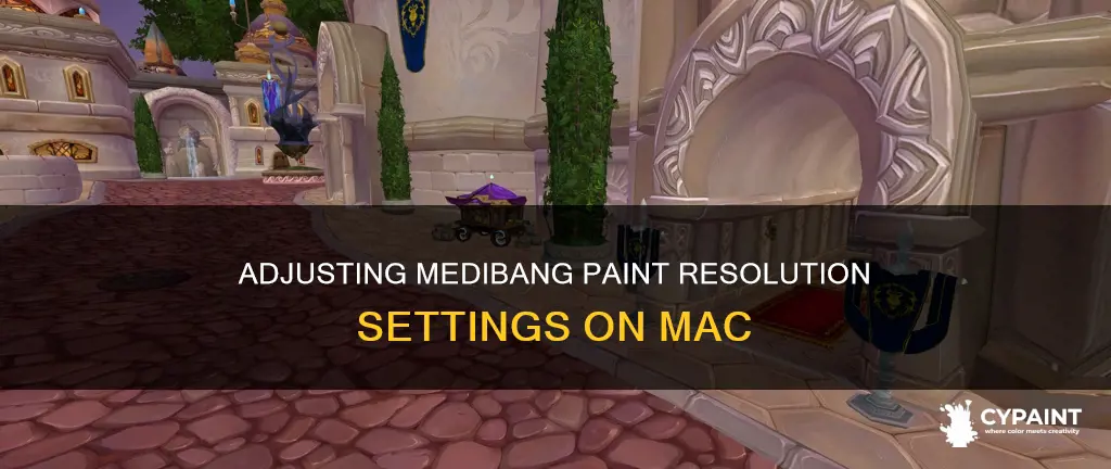 how to change resolution in medibang paint on mac