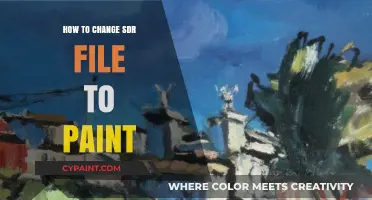 Convert SDR Files to Paint: A Step-by-Step Guide for Beginners