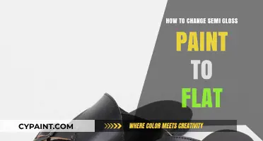 Transform Semi-Gloss to Flat: A Simple Paint Sheen Adjustment Guide