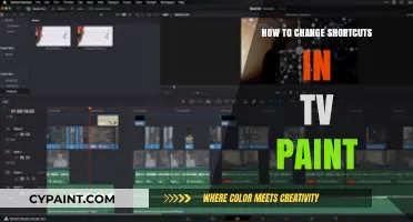 Mastering TVPaint: Customizing Shortcuts for Efficient Animation Workflows