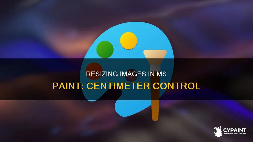 how to change size in microsoft paint by cm