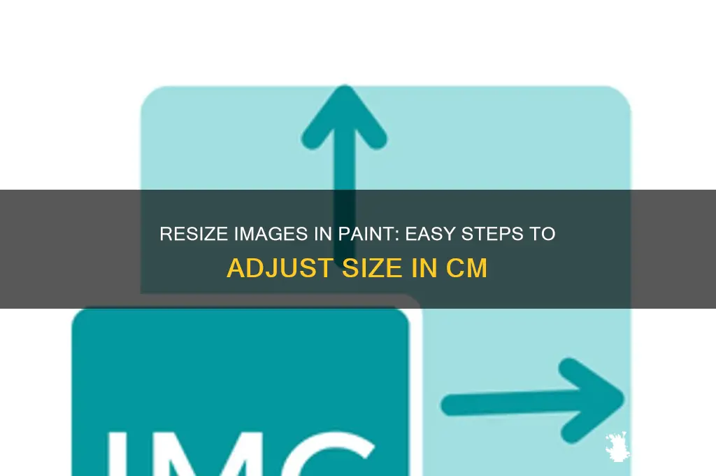 how to change size of image in paint in cm