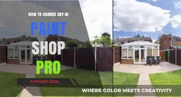 Transform Your Photos: Mastering Sky Replacement in PaintShop Pro