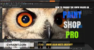 Mastering CMYK Adjustments in Paint Shop Pro: A Step-by-Step Guide