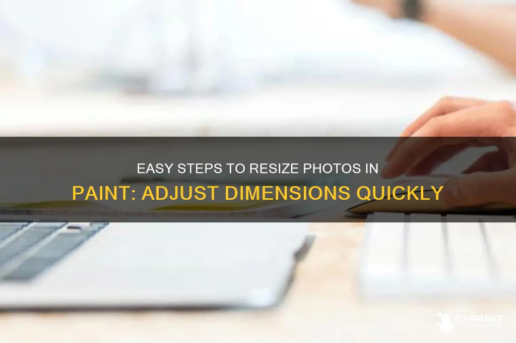 how to change the dimensions of a photo in paint