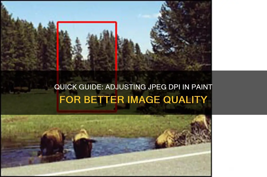 how to change the dpi of a jpeg in paint