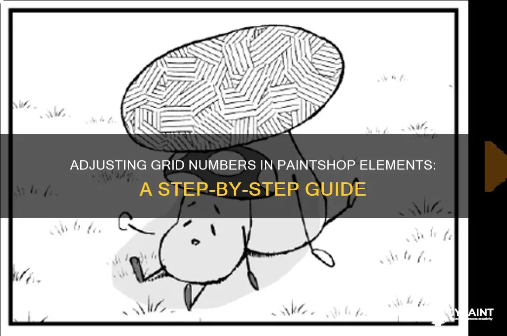 how to change the grid number in paint shop elements