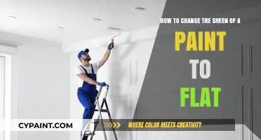 Transform Your Paint Sheen: Easy Steps to Achieve a Flat Finish