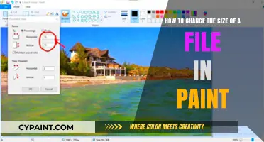 Resize Your Files Easily: A Quick Paint Tutorial for Adjusting Image Dimensions