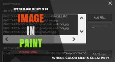 Easy Steps to Resize Images in Paint for Beginners