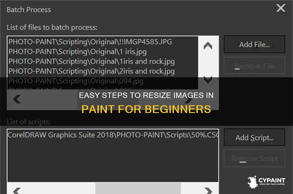 how to change the size of an image in paint