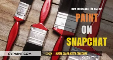 Expanding Your Snapchat Paintbrush: Adjusting Brush Size