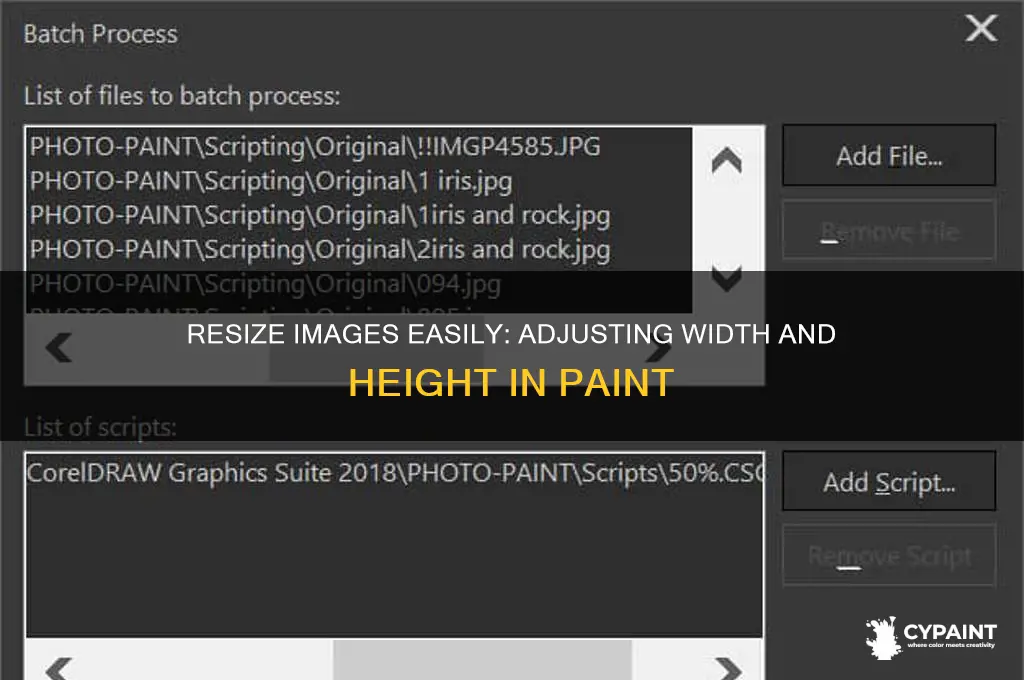 how to change width and height of image in paint