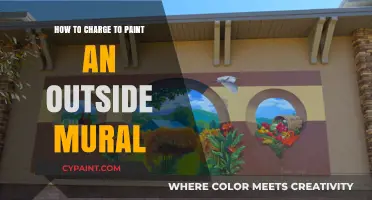 Pricing Your Outdoor Mural: A Guide to Fair and Profitable Charges