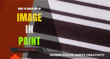 Quick Guide: Checking Image DPI in Paint Easily