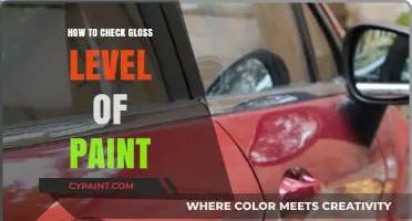 Measuring Paint Gloss Level: A Comprehensive Guide to Accurate Testing