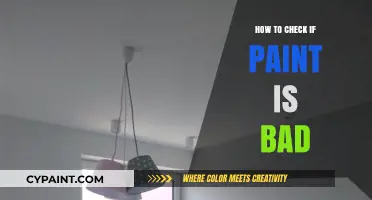 Is Your Paint Still Good? Quick Tips to Check for Spoilage