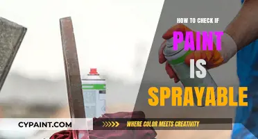 Is Your Paint Sprayable? Quick Tips to Check Before You Spray
