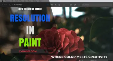 Quick Guide: Checking Image Resolution in Paint Easily