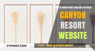 Palm Canyon Resort Website: Easy Steps to Check Paint Availability