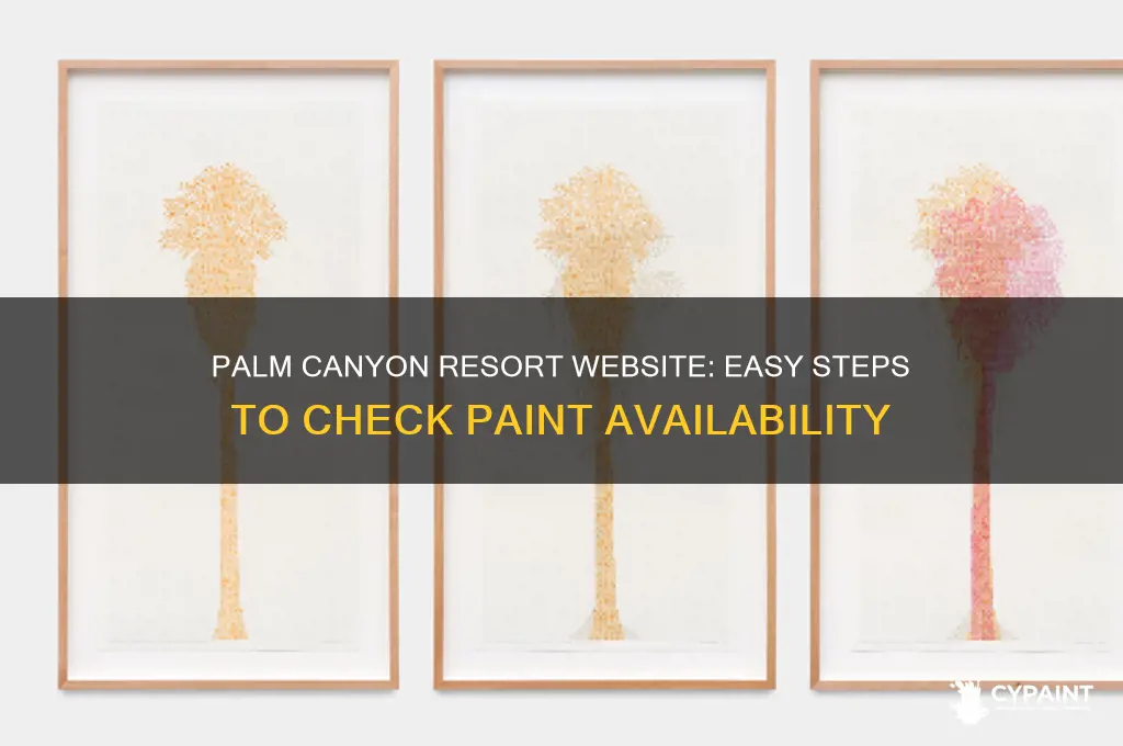 how to check paint available in palm canyon resort website