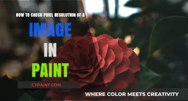 Quick Guide: Checking Image Pixel Resolution in Paint Easily