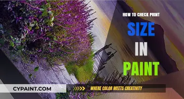 Mastering Print Size: A Quick Guide to Checking in Paint