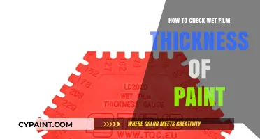 Mastering Paint Application: A Guide to Measuring Wet Film Thickness